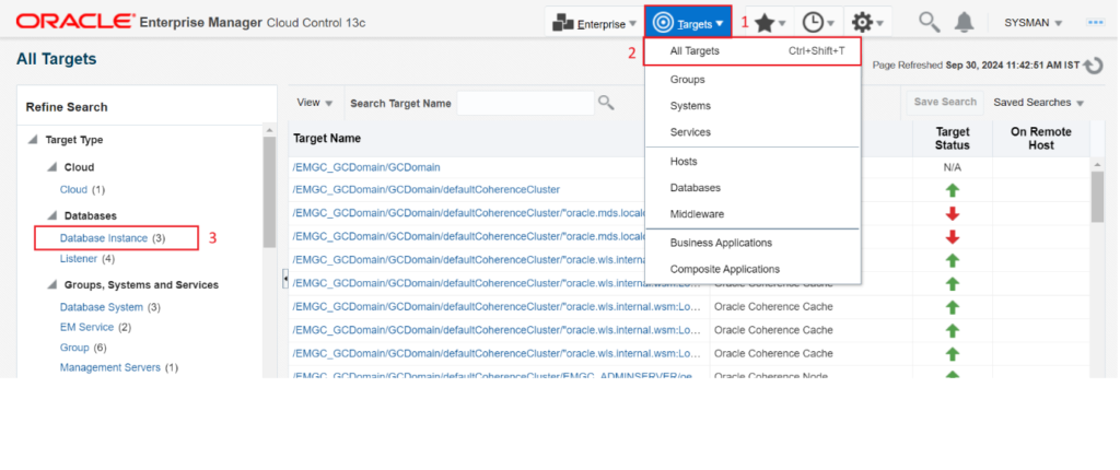 Database Instances