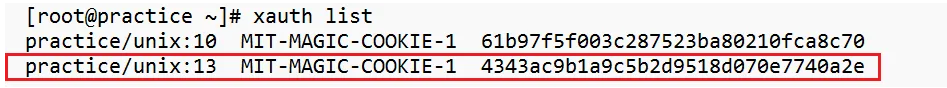 xauth list from root user