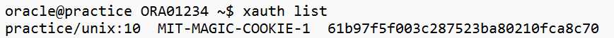 xauth list from oracle user