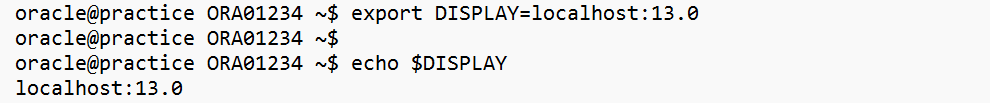 export DISPLAY=localhost:13.0