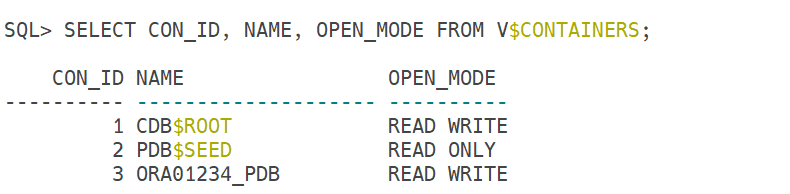 Container Database output