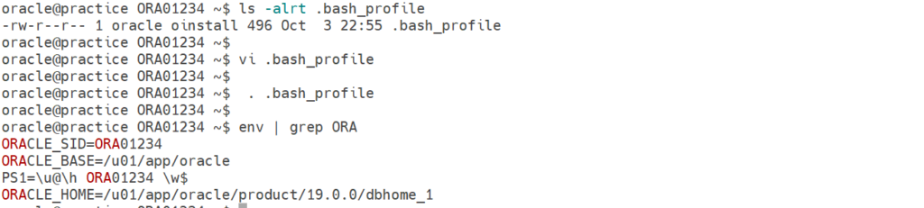 .bash_profile output