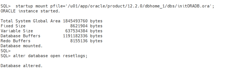 open the database in reset logs