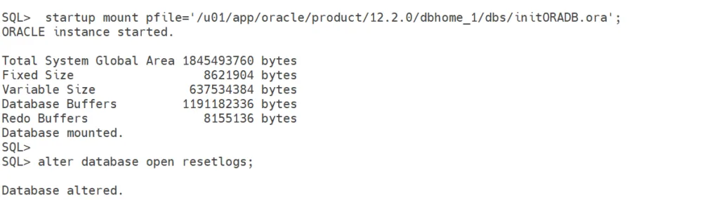 open the database in reset logs