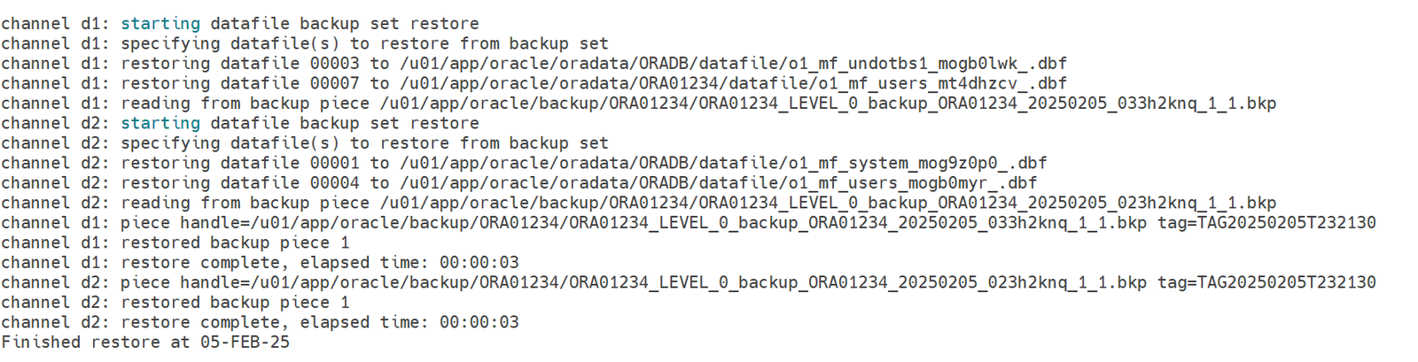 Database Refresh activity in Oracle - 2026