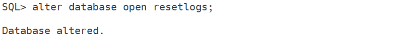 open the database in reset logs
