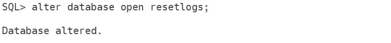 open the database in reset logs