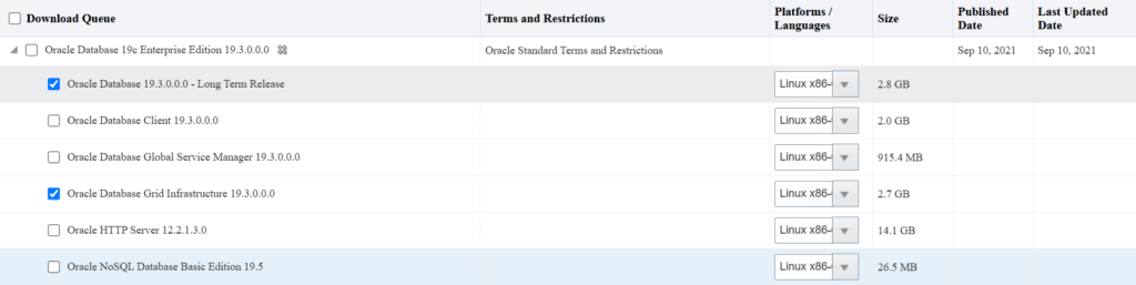 Oracle 19c RAC Database