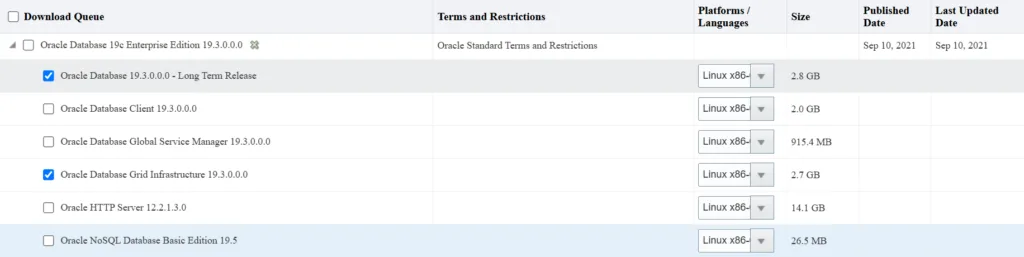 Oracle 19c RAC Database