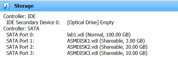 Shareable Disks