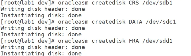 ASM Disk creation