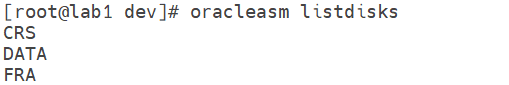 oracleasm listdisks