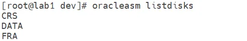 oracleasm listdisks