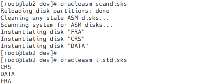 oracleasm scandisks