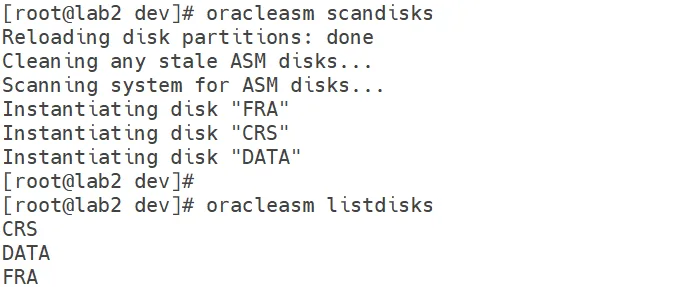 oracleasm scandisks