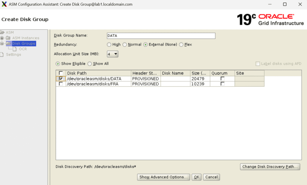 Disk Group Creation.