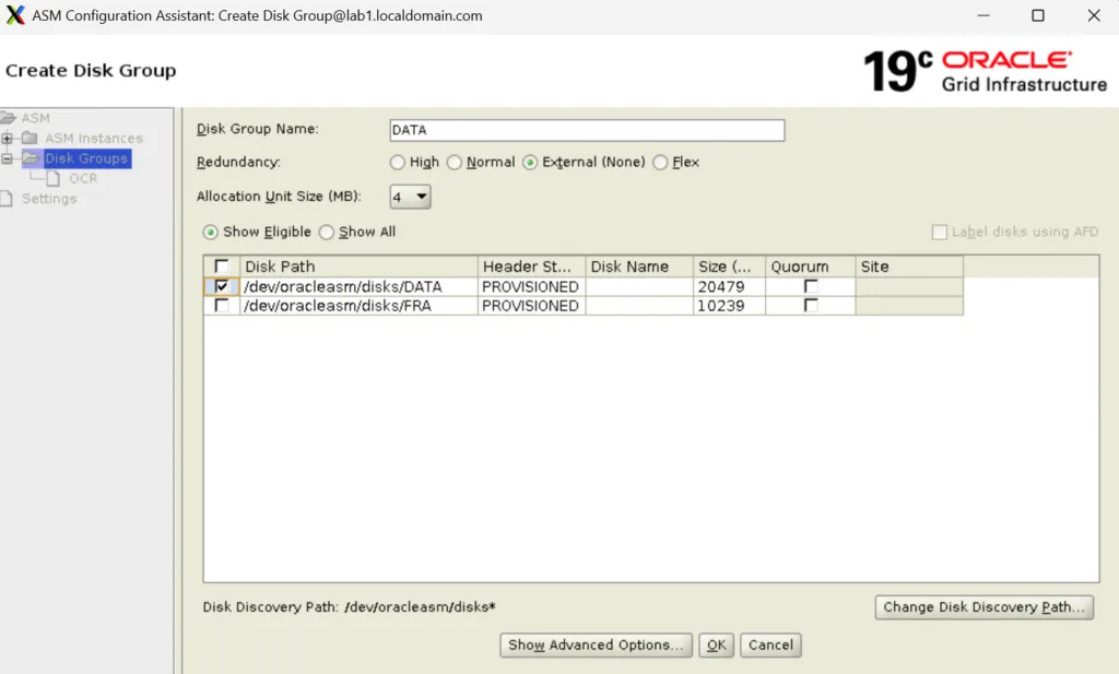 Disk Group Creation.