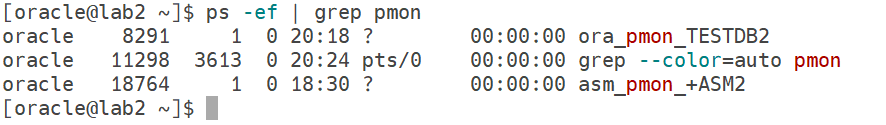 ps -ef | grep pmon
