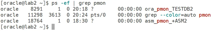 ps -ef | grep pmon
