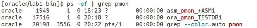 ps -ef | grep pmon