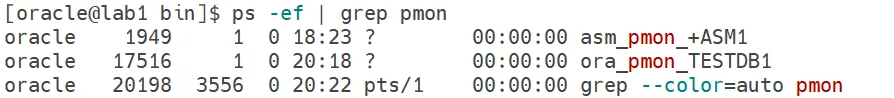 ps -ef | grep pmon