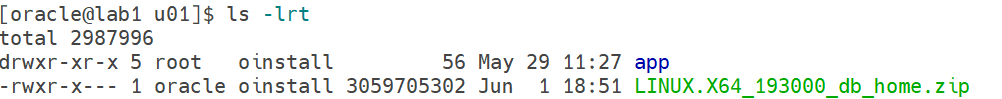 Oracle 19c RAC database