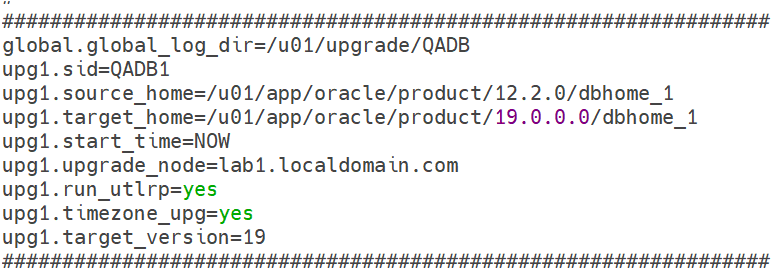 Oracle RAC database upgrade using autoupgrade