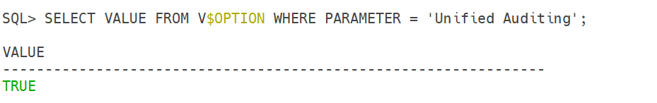Oracle 19c DBA auditing