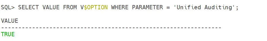 Oracle 19c DBA auditing