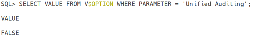 Oracle 19c DBA auditing
