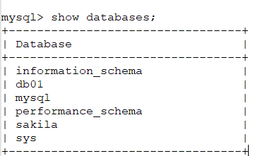 Create the Sakila Database in MySQL