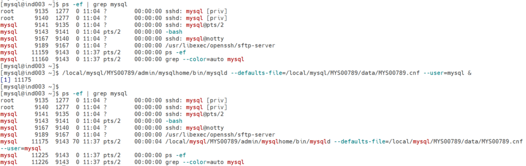 MySQL Server Installation Using Generic Binary method
