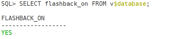 Verify Flashback Database Status