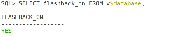 Verify Flashback Database Status